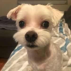 Meet your Posher, Rebecca